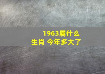 1963属什么生肖 今年多大了